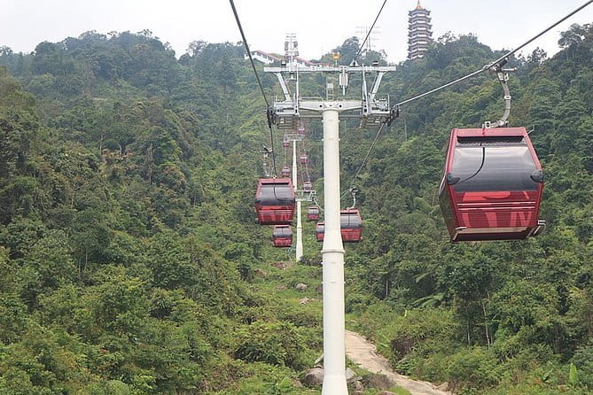 Taman Negara National Park Day Excursion from Kuala Lumpur PVT - What the private format really gives you
