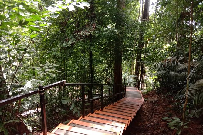 Taman Negara National Park Day Tour (SIC - Join In Tour) - Jungle trekking toward Teresek Hill