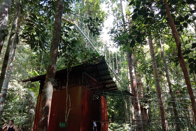 Taman Negara National Park Day Tour (SIC - Join In Tour) - The 5:30am start and long road to Kuala Tahan