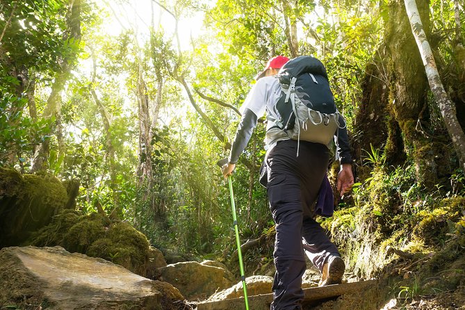 Templer Park and Kanching Waterfall Tour with Batu Caves Stopover - Kanching Waterfall is the most active stop