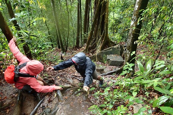 Templer Park and Kanching Waterfall Tour with Batu Caves Stopover - A realistic three-and-a-half-hour schedule
