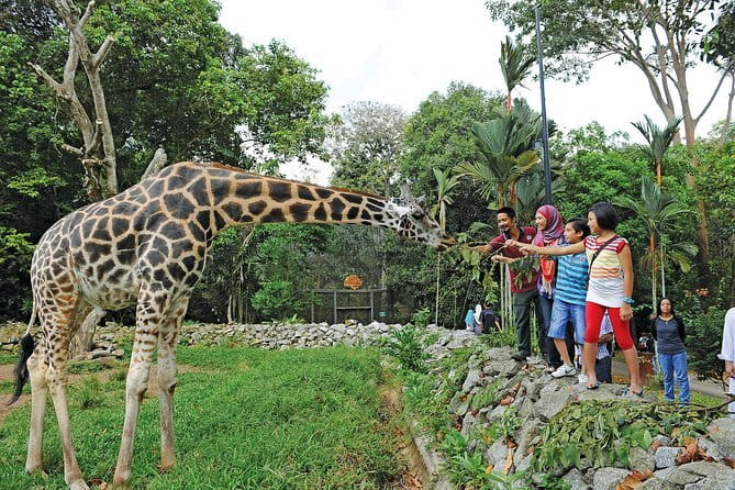Terengganu Wildlife Kayak Tour - Who will enjoy this most