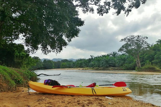 Terengganu Wildlife Kayak Tour - Starting in Ajil at 9:15 am