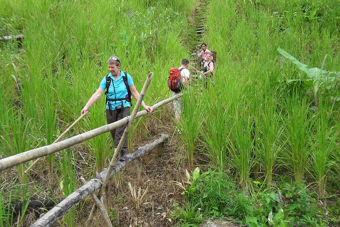Traditional Bidayuh Village Bamboo Longhouse Tour - The 45-minute ride from Kuching to the village
