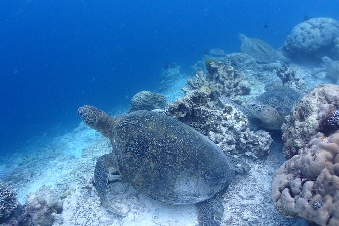 TRY SCUBA (non diver) - What the $122.25 price covers