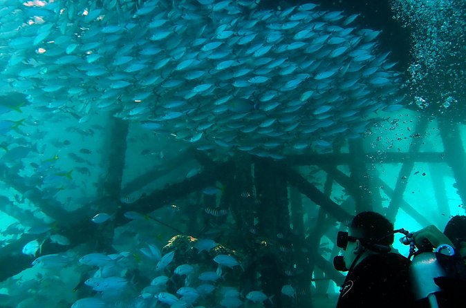 TRY SCUBA (non diver) - Fitness, flights, and practical limits