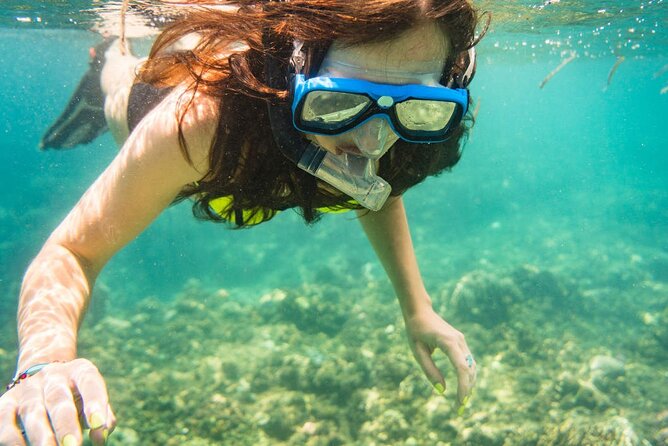 Tunku Abdul Rahman Park 2 Islands Hopping Tour from Kota Kinabalu - Who will enjoy this island tour