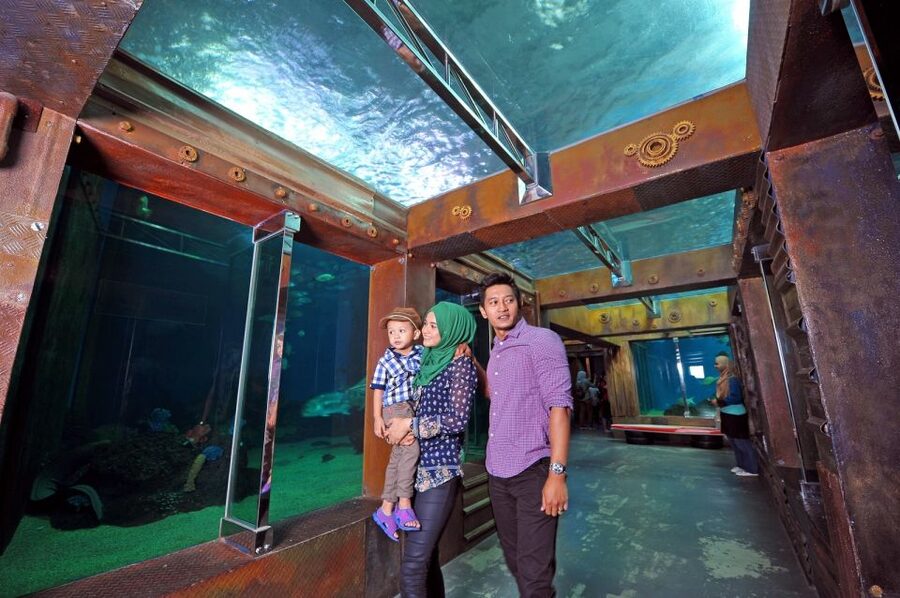 Underwater World Langkawi Admission Ticket - Penguins in the sub-Antarctic section