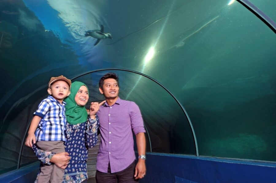 Underwater World Langkawi Admission Ticket - Ticket handling and arrival advice