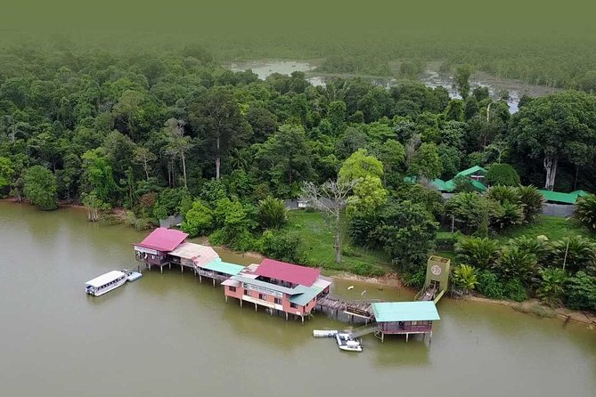 Wildlife & Wonders: Orang Utan Island + Perak Cave Temple Tour - What the $123.22 price really covers